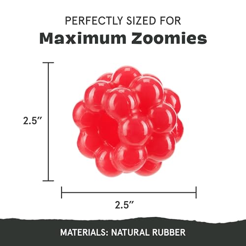 Barkbox Ruffberry Blast Dog Toy for Small Dogs, Treat Dispensing Toy with Wacky Bounce and Perfect for Kibble or Favorite Treats - style: Ruffberry Blast
