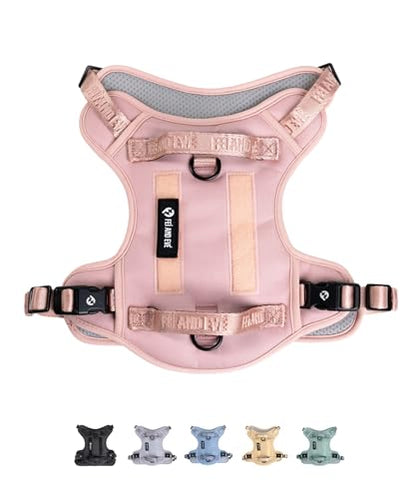 2026 New Edition, Fei & Eve Classic Dog Harness - Quick-Release Buckles | 3-Point No-Pull Control | Heavy-Duty 900D Nylon | Dual Safety Handles | Breathable Mesh | Adjustable Fit | Large,Pink - color: Pink, size: L