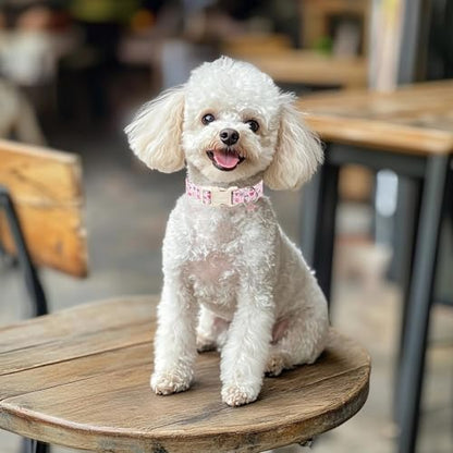 Pink Dog Collar Girl Dog Collars for Puppy Small Dogs - Lightweight Adjustable Spring Butterfly Female Dogs Everyday Collar with Quick Release Buckle XS - color: Pink Butterfly, size: XS