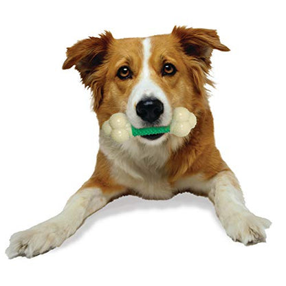 Nylabone Double Action Bone Power Chew Toy for Dogs, Rubber Dog Toys for Moderate & Aggressive Chewers, Bacon Flavor, Medium - Up to 35 lbs, 1 Count - size: Medium