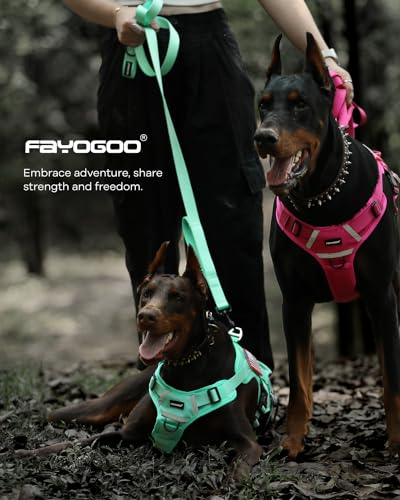 Dog Leash 6FT - Heavy Duty Dog Leash with Traffic Padded Double Handles - Safety Control Traning Leash for Large Medium Dogs - color: Green