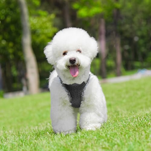 Summer Soft Dog Harness and Leash Set,Ultra Thin Breathable Diamond Mesh, Step in Adjustable Dog Harness with Padded Vest for Medium Size Dogs in Hot Weather Black L - color: Black, size: L