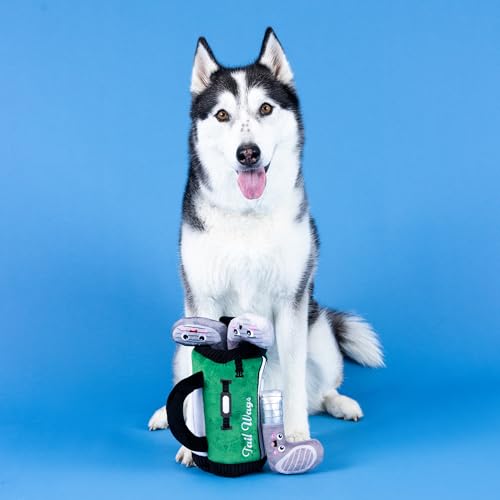Fringe Studio Plush Dog Toy, Hide & Seek Burrow 4 Pieces Set, Best Round BY PAR, Pet Shop Collection (289244) - color: Multicolor