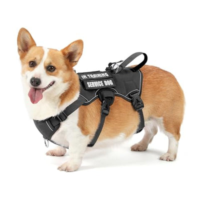 Escape Proof Dog Harness, Soft Padded Full Body Pet Harness, Reflective No Pull Dog Harness with Handle and 2 Leash Clips for Small Dogs Walking Hiking Training (Black,S)