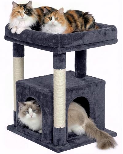 Cat Tree for Large Cat, 19 * 15.8in Large Perch Bed for Adult Cats, 23.6in Cat Tower with Scrathing Post, Cat Condo with 2-Door for Indoor Cats, Dark Gray - color: Dark Gray