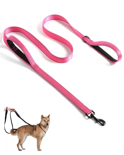 Aeclleca Soft Handle Reflective Black Dog Leash with 2 Padded Handles, 5FT Heavy Duty Pet Lead for Medium & Large Dogs, Comfortable Anti-Slip Grip & Night Safety Design (Hot Pink) - color: Hot pink