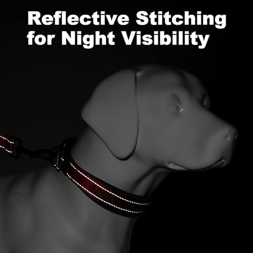 Personalized Dog Collar, Embroidered Name & Phone Number, Custom Reflective Nylon Pet Collar, Adjustable with Soft Neoprene Padding and Metal Buckle for Small Medium Large Dogs