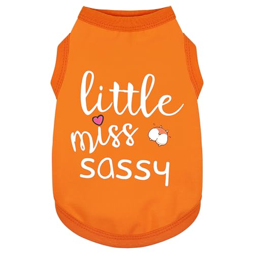 Paiaite Dog Clothes Fashionable Sleeveless Pet Vest: 'Little Miss Sassy' Printed Cotton Dog Shirt, Ideal for Small, Medium, and Large Breeds, Ensuring Comfort and Breathability Orange XS - color: Orange, size: XS-(2~6lb) | Chest(~13.7")