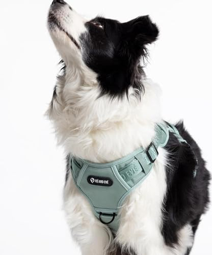 2026 New Edition, Fei & Eve Classic Dog Harness - Quick-Release Buckles | 3-Point No-Pull Control | Heavy-Duty 900D Nylon | Dual Safety Handles | Breathable Mesh | Adjustable Fit | Small,Green - color: Glacier Green, size: S