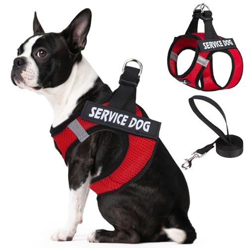 PUPTECK Service Dog Harness and Leash Set for Small Medium Dogs No Pull Step-in Soft Mesh Puppy with 2 Removable Patches Cat Vest Harnesses Reflective at Night, Red, L - color: #1 Red(Service Dog), size: L(CHEST 18"-20", 16.5-22 lbs)