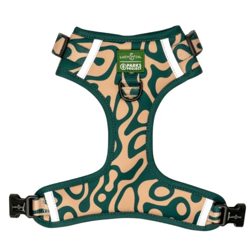 Lucy & Co. x Parks Project Geyser No-Pull Dog Harness, Adjustable Front Clip Harness with Comfort Padding, Small - color: Geyser, size: Small