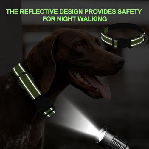 Dog Collars Adjustable for Puppy and Small Dogs,Heavy Duty Waterproof Dog Collar with Quick Release Buckle,Girl Boy Female Male Reflective Nylon Dog Collar with Soft Neoprene Padded,XS,Green - color: Green, size: X-Small