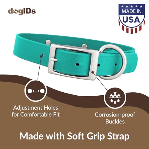 dogIDs Personalized Dog Collar – Custom Waterproof Soft-Grip Biothane with Laser-Engraved Nameplate, Durable & Odor-Resistant, USA Made | Teal, 1 in x 16 in (Fits Necks Size 14-18 in) - color: Teal, size: 1 in x 16 in (Fits Necks Size 14-18 in)