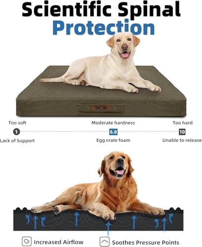 Sytopia Indestructible Dog Bed, 42" XL Chew Proof Dog Bed for Extra Large Dogs (90 lbs), Durable Waterproof Pet Bed, Chew Resistant Dog Crate Pad, Washable Cover, Indoor & Outdoor Use, Brown