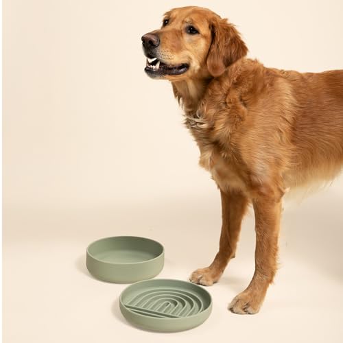 Should We Go? Slow Feeder for Dogs & Puppies, The Slowdown Bowl Silicone Slow Eating, Modern Lick Mat Design, Reduces Gulping, Fits 2.5 Cups, 9.5” Across x 1.5” Tall, Mealtime Challenge, Large-Sage - color: Sage - Rainbow Design, size: Large (9.5” Across