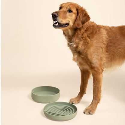 Should We Go? Slow Feeder for Dogs & Puppies, The Slowdown Bowl Silicone Slow Eating, Modern Lick Mat Design, Reduces Gulping, Fits 2.5 Cups, 9.5” Across x 1.5” Tall, Mealtime Challenge, Large-Sage - color: Sage - Rainbow Design, size: Large (9.5” Across