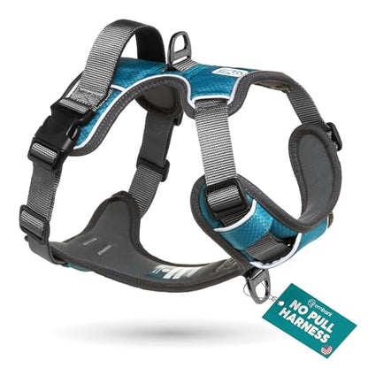 Embark Adventure Dog Harness for Small, Medium & Large Dogs – No Pull, Reflective Trim, Military Grade Nylon, 2 Leash Clips, Gel-Lined Handle, Soft Padded - color: Blue, size: XS