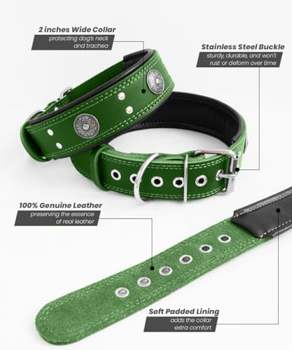Leather Dog Collar, 2 inches Wide Heavy Duty Genuine Leather Collars, Handmade, Soft, and Luxury, Eye-catching Best Choice for Large and Medium Breed Dogs, Green 15-19 in - color: Green, size: 15-19 in