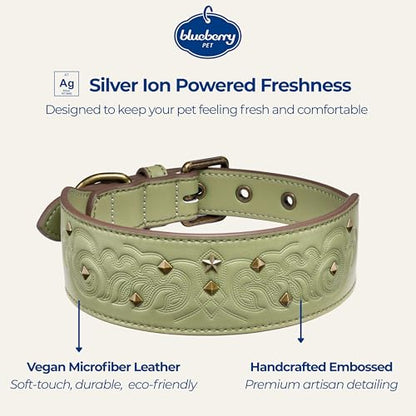 Blueberry Pet Premium Embossed Sage Green Glam Silver-Powered Freshness Microfiber Leather Dog Collar with Antique Brass Studs - color: Sage Green, size: Medium