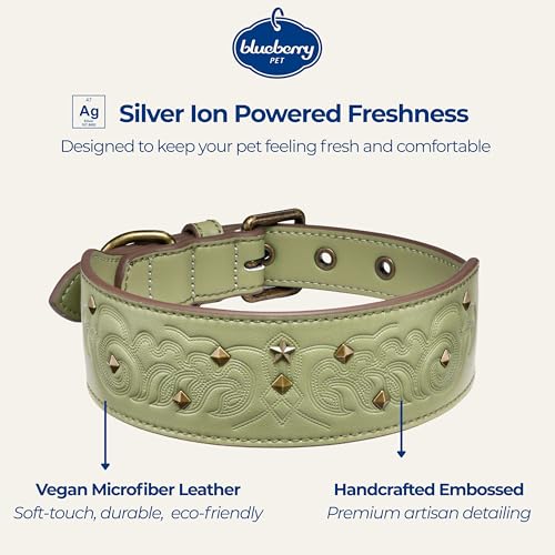Blueberry Pet Premium Embossed Sage Green Glam Silver-Powered Freshness Microfiber Leather Dog Collar with Antique Brass Studs - color: Sage Green, size: Large