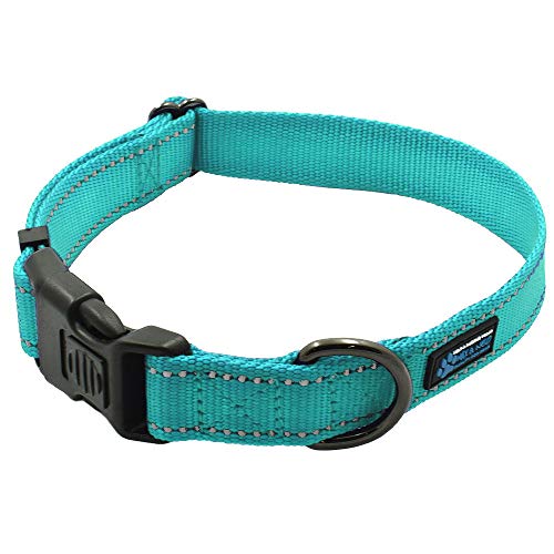 Max and Neo™ NEO Nylon Buckle Reflective Dog Collar - We Donate a Collar to a Dog Rescue for Every Collar Sold (Small, Teal) - color: Teal, size: Small