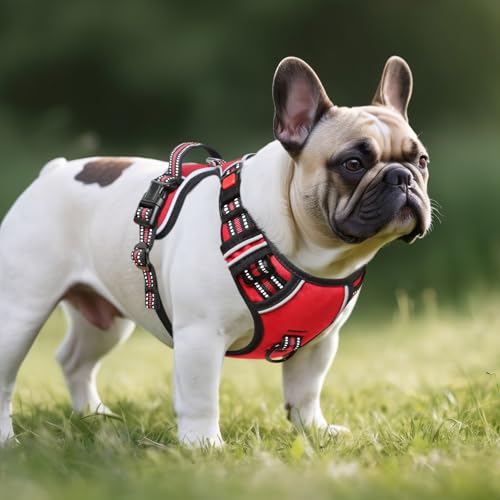 Dog Harness Small Sized, No Pull with Neck Lockable Snap,No Choke Front Clip Dog Reflective Harness,Adjustable Metal Rings 3 Buckles,Easy Control Handle for Small Dogs Red S - color: Lock Red, size: Small (Pack of 1)