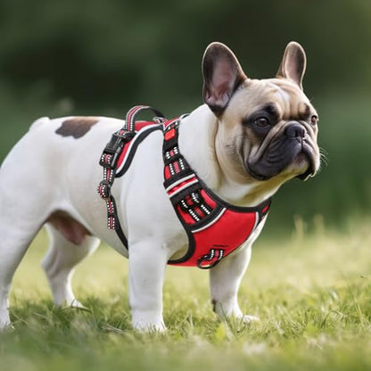 Dog Harness Small Sized, No Pull with Neck Lockable Snap,No Choke Front Clip Dog Reflective Harness,Adjustable Metal Rings 3 Buckles,Easy Control Handle for Small Dogs Red S - color: Lock Red, size: Small (Pack of 1)