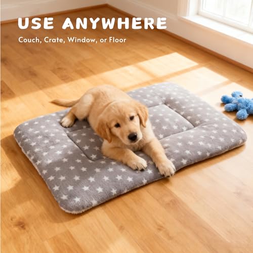 Dog Blankets for Small Dogs, 2-Pack Washable Plush Pet Mat - Soft & Warm Reversible Puppy Blankets for Couch, Bed, Crate& Travel Carrier - size: 31"x22"