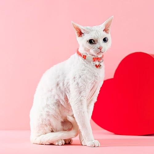 Unique style paws 2 Pack Valentine's Day Kitten Collar Breakaway with Bell&Pendant, Adjustable Safety Red Lip Rainbow Cat Cotton Collar for Girl Boy Cat and Small Pet - color: red pink heart