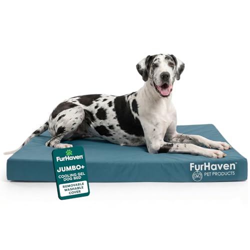 FurHaven Water-Resistant Orthopedic Dog Bed for Large Dogs, Oxford Polycanvas Mattress, Solid Orthopedic Foam Slab for Joint Support, Removable Washable Cover, Jumbo Plus/XXL, Deep Lagoon - color: Water-Resistant Logo Print (Deep Lagoon), size: Jumbo Plus
