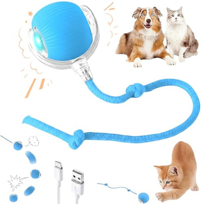 Interactive Electric Automatic Rolling Moving Rechargeable Self Play Stimulation Toy,Smart Pet Chase with Speedy Tail Rope for Bored Indoor Cats (Blue) - color: BLUE