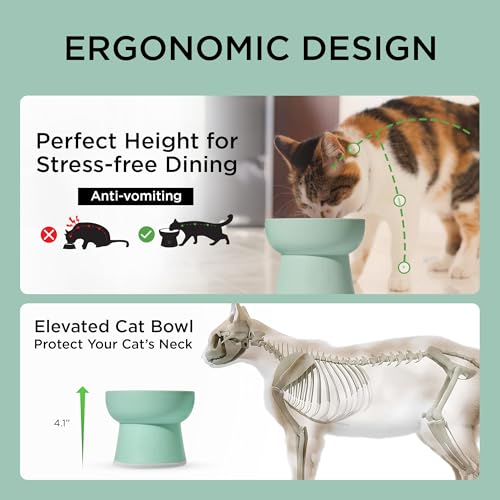 Necoichi 2pcs Elevated Cat Water Bowls with Measurement – BPA-Free Plastic Raised Bowls to Reduce Whisker & Neck Fatigue – Dishwasher Safe – Non-Slip, Anti-Vomiting (Ocean Mist) - color: Blue Green and Green (Ocean Mist)