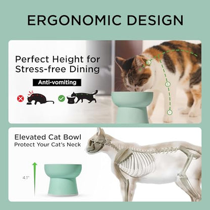 Necoichi 2pcs Elevated Cat Water Bowls with Measurement – BPA-Free Plastic Raised Bowls to Reduce Whisker & Neck Fatigue – Dishwasher Safe – Non-Slip, Anti-Vomiting (Ocean Mist) - color: Blue Green and Green (Ocean Mist)