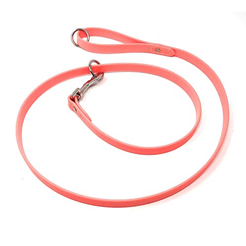 Regal Dog Products Waterproof Leash – 5 ft. Orange Dog Leash with Easy to Use Collar Hook, Lightweight, and Proof Training Pet Lead with Vinyl-Coated Webbing for Small, Medium, Large, or XL Dogs - color: Orange