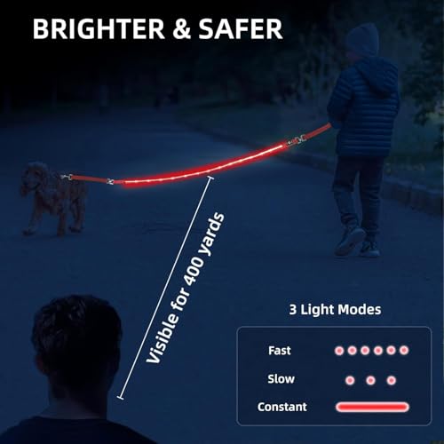Light up Dog Leash for Night Walking - USB C Rechargeable - Waterproof - Dog Leash with Flashlight - LED Leashes for Dogs - 6Ft, Red - color: Red