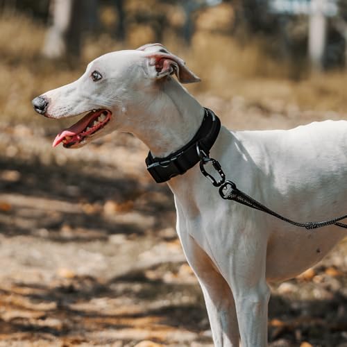 OneTigris Small Dog Collar with Handle, Soft and Adjustable Nylon Collar with Quick-Release Buckle, Lightweight No-Choke Design for Small Dogs(Black, XS) - color: Black, size: XS(10"-13")