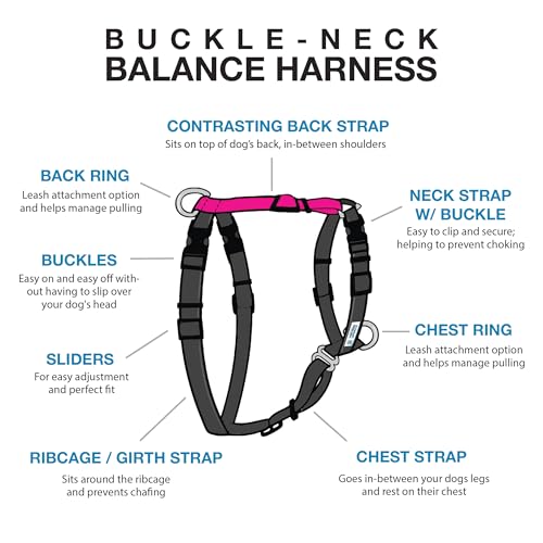 Blue-9 Buckle-Neck Balance Harness, Fully Customizable Fit No-Pull Harness, Ideal for Dog Training and Obedience, Made in The USA, Hot Pink, X-Small - color: Hot Pink, size: XS (Ribcage: 13.5"-18")