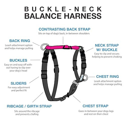 Blue-9 Buckle-Neck Balance Harness, Fully Customizable Fit No-Pull Harness, Ideal for Dog Training and Obedience, Made in The USA, Hot Pink, Medium/Large - color: Hot Pink, size: M/L (Ribcage: 24"-35.5")
