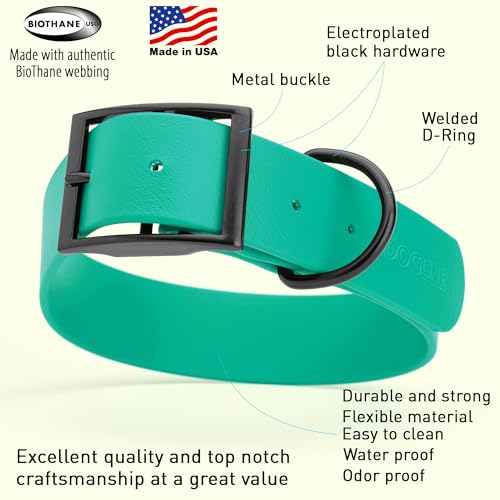 Dogline Biothane Waterproof Dog Collar Strong Coated Nylon Webbing with Black Hardware Odor- Proof for Easy Care Easy to Clean High Performance Fits Small Medium or Large Dogs, Teal