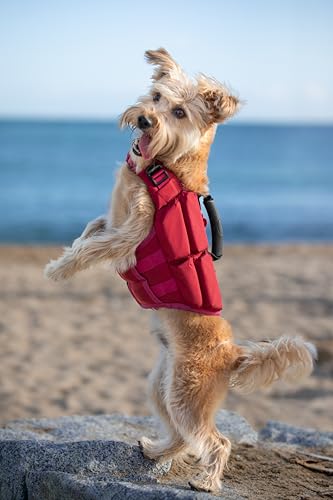 NOAH & PAW Dog Life Jacket, Human Standards Lifejacket Design, Dog Life Vest for Swimming and Boating, 3X Foam Support for Max Floating, Breathable Mesh, Salvavidas para Perros, Size S - size: S