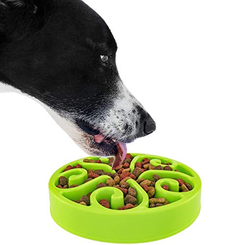 Slow Feeder Dog Bowl Anti-Choking Help Prevent Bloat Non Toxic BPA Free Feeding Dish SH-10303, Green