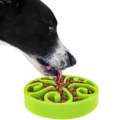 Slow Feeder Dog Bowl Anti-Choking Help Prevent Bloat Non Toxic BPA Free Feeding Dish SH-10303, Green