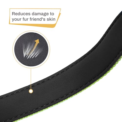 HEELE Dog Collar, Reflective Dog Collar, Soft Neoprene Padded Breathable Nylon Pet Collar Adjustable for Small Dogs, Grass Green, S(10.23-14.96") - color: Grass Green, size: Small (10.23-14.96")