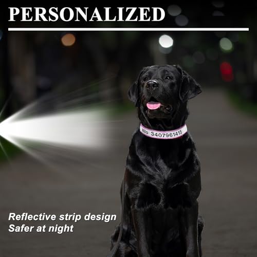 Reflective Personalized Dog Collar - Custom Embroidered Pet Name and Phone Number with Adjustable Nylon Buckle Collars in 5 Sizes XS to XL for Boy and Girl Dogs,Puppy,Teal - color: Teal