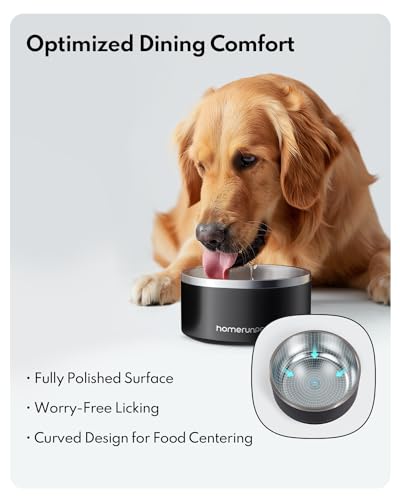 Homerunpet Double Wall Stainless Steel Dog Bowls, Non-Slip Base, Dishwasher Safe, Durable Pet Food & Water Bowl for Dogs & Cats(32oz, Black) - color: Black