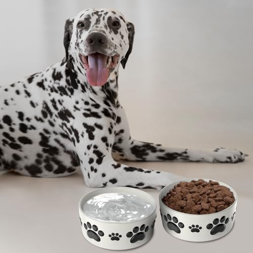 Ceramic Dog Bowls for Medium Size Dogs - 6.5'' Round × 2.5 Tall Dog Food & Water Bowl Set of 2 - Medium Ceramic Bowl with Anti-Slip Rings - Food and Water Bowls with 3 Cups Capacity - size: 6.5in