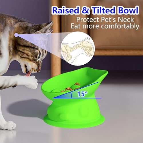 Slow Feed Cat Bowl, Elevated Cat Food Dish with Tilted Design, Dual-Use for Dry and Wet Food, Anti-Vomit, Anti-Choking, Easy to Clean - color: Green, size: Big
