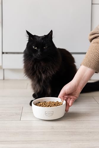 Pearhead Ceramic Meow Cat Bowl, Holds 12 oz, Whisker-Friendly Pet Dish for Food and Water, Modern Speckled White - color: Speckled "Meow", size: Single Bowl
