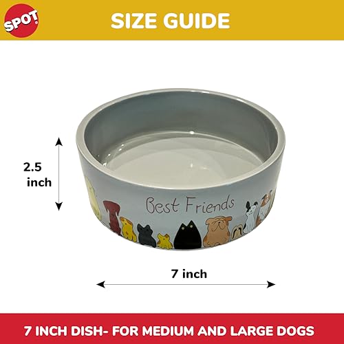 SPOT Best Friends Pet Food Dish - Food or Water Ceramic Bowl for Pets, Ideal for Medium & Large Dogs, Dishwasher Safe, 5 Cups (40oz) Capacity - 7in, Light Grey - size: 7 inch