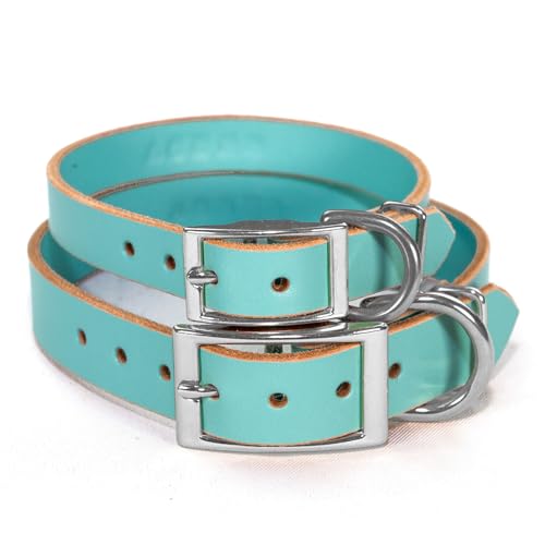 Handmade Personalized Bridle Leather Dog Collar, Engraved Stainless Steel Nameplate (Robin's Egg Blue) - color: Robin's Egg Blue
